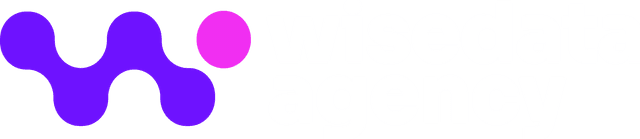 WiseData Agency